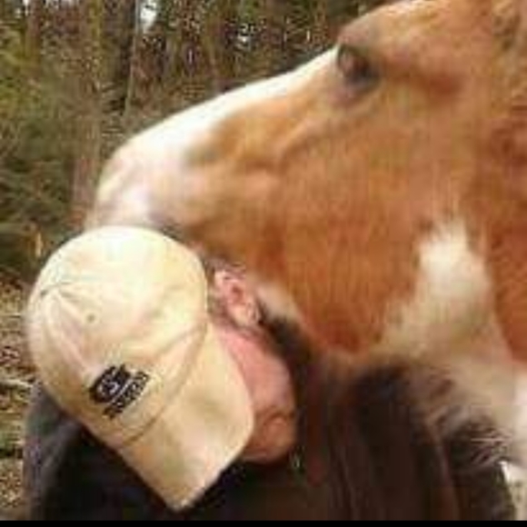 Meet your Posher, William - Picture 2 of 3